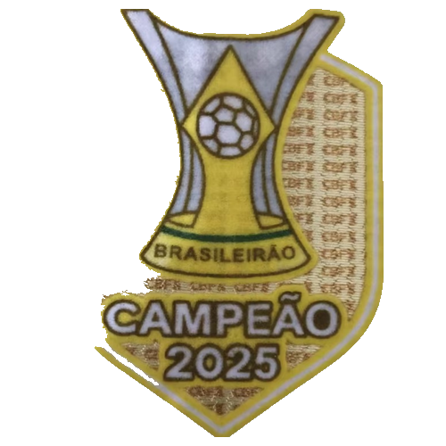 Campeao Brasileiro 2025